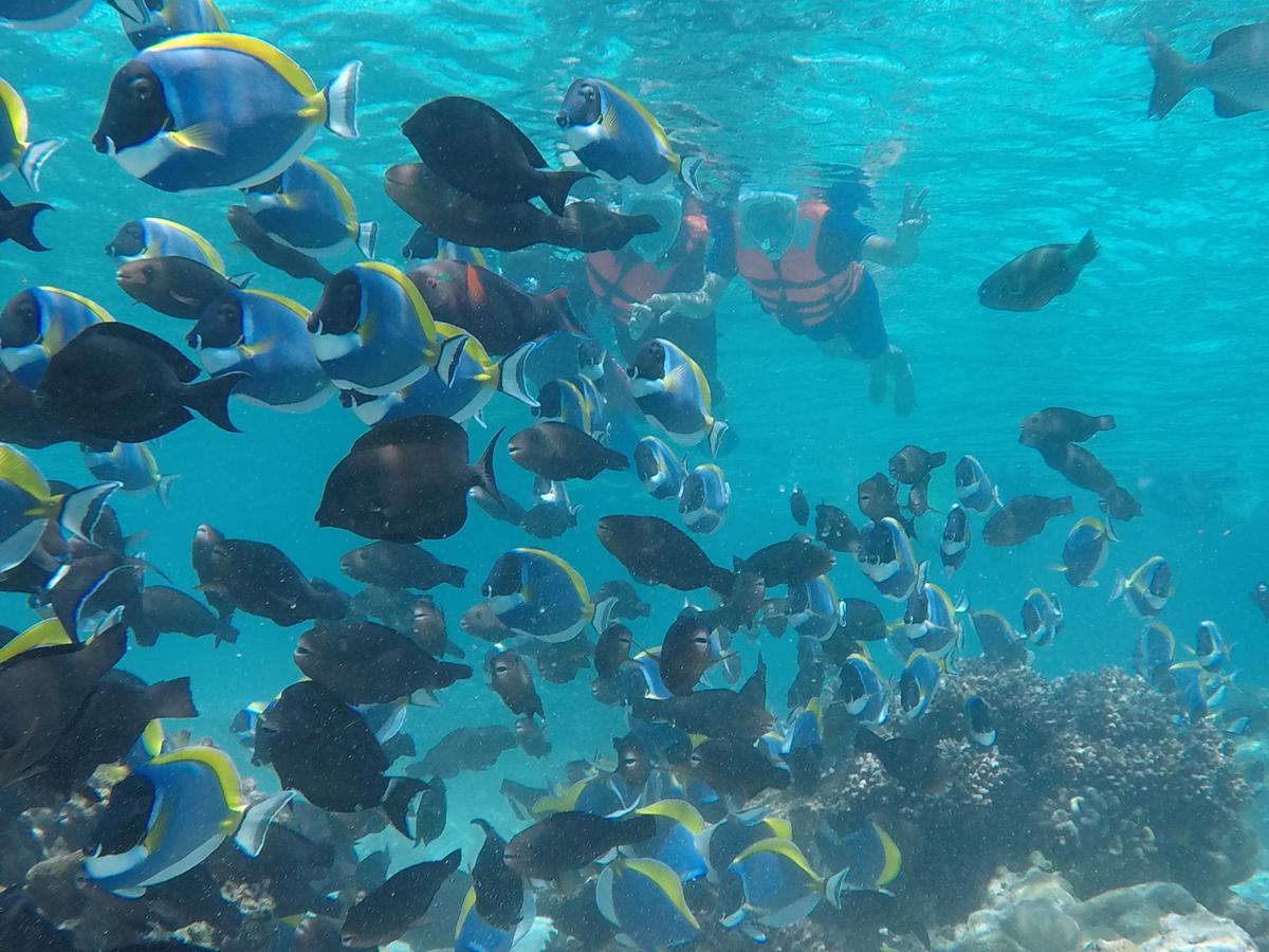 Готель Club Blu Хулхумале Екстер'єр фото